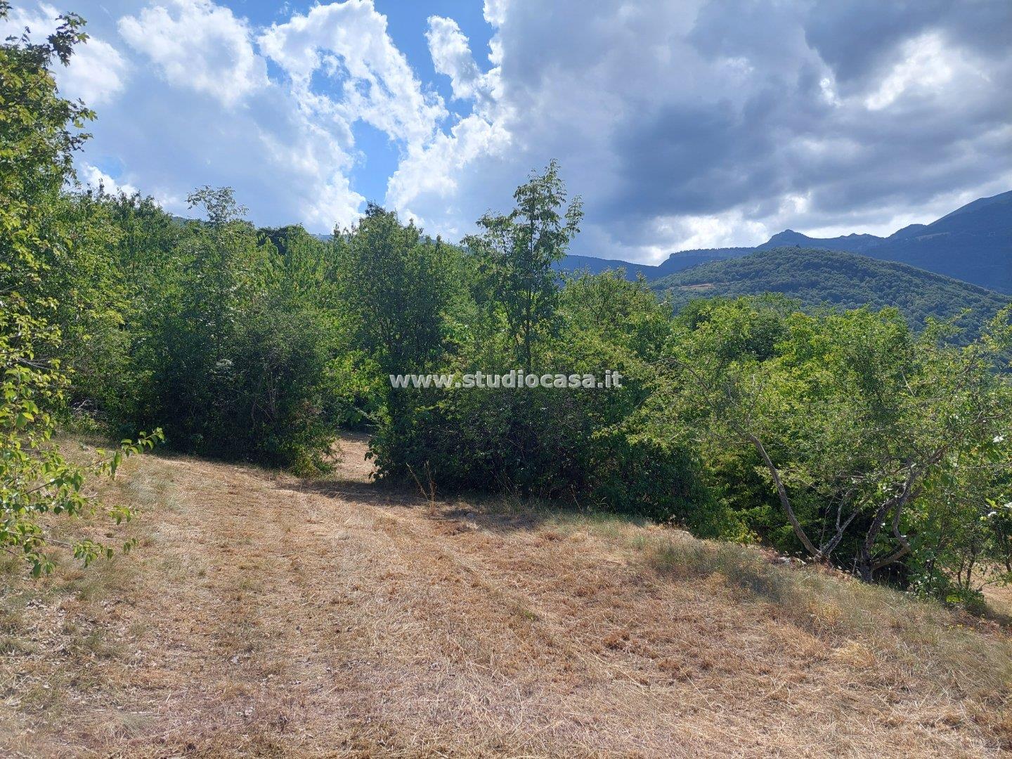 Terreno Residenziale in vendita a Brentonico