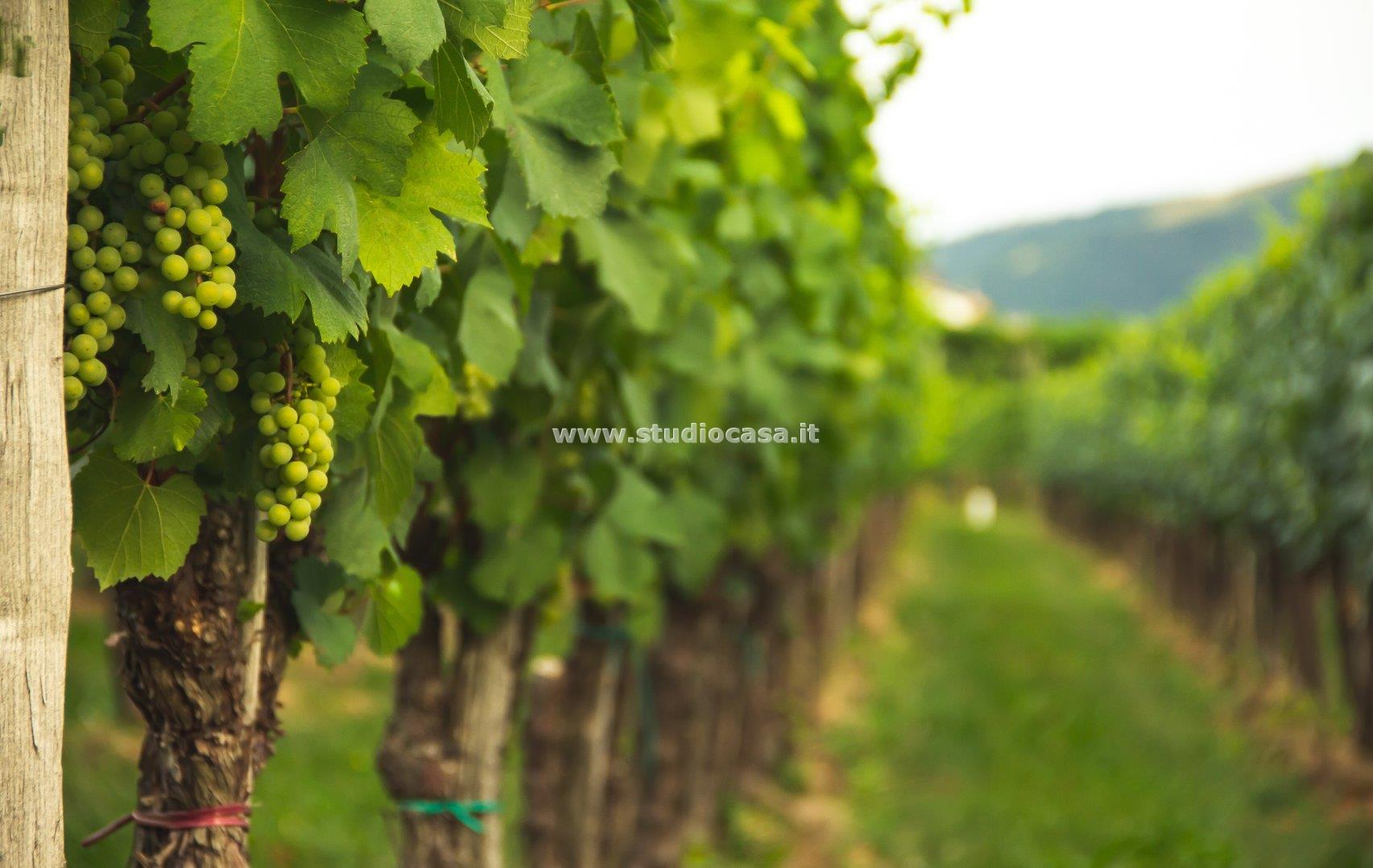 Terreno Agricolo in vendita a Ala