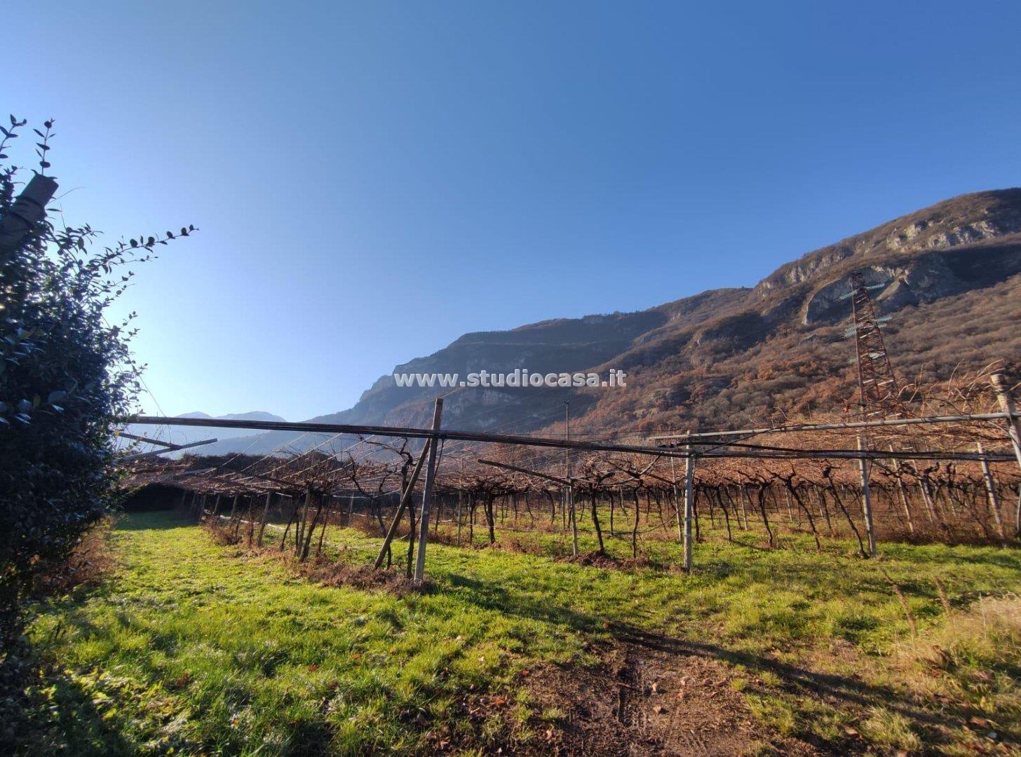 Terreno Agricolo in vendita a Mori
