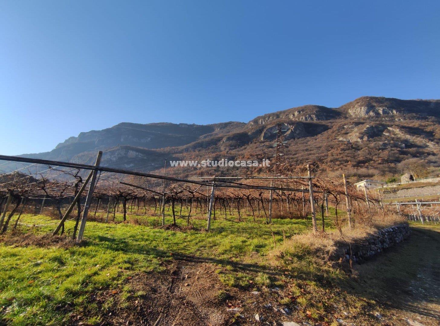 Terreno Agricolo in vendita a Mori
