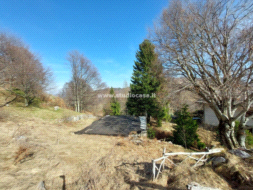 Terreno Residenziale in vendita a Brentonico