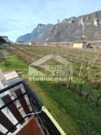 Terreno Agricolo in vendita a Ala