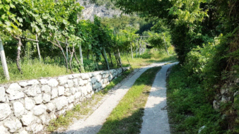 Terreno Agricolo in vendita a Mori
