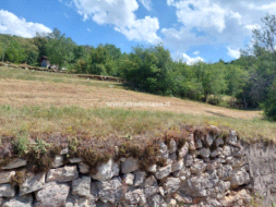 Terreno Residenziale in vendita a Brentonico