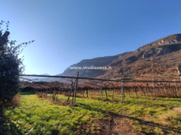 Terreno Agricolo in vendita a Mori