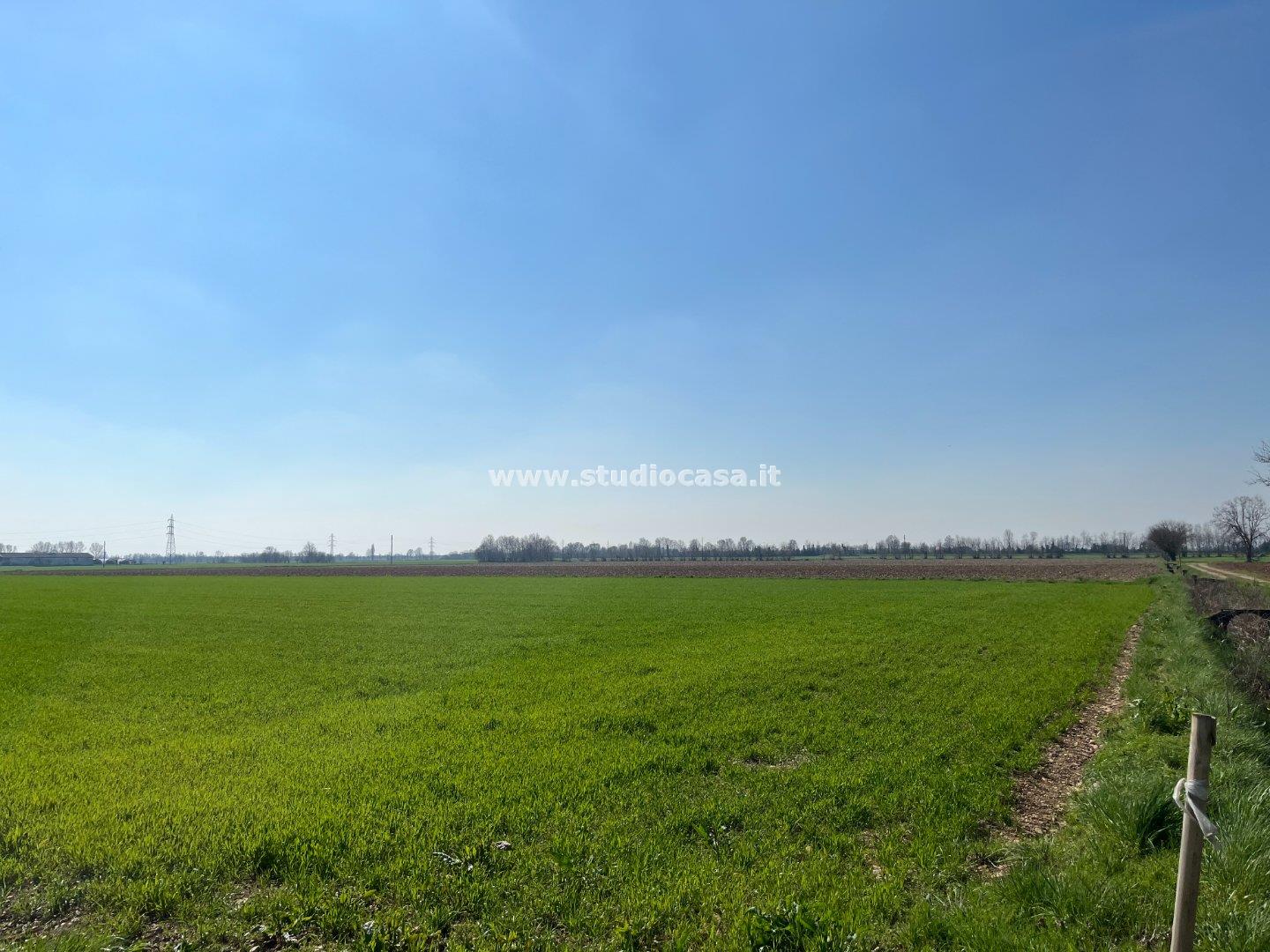 Terreno Agricolo in vendita a Zanica