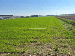 Terreno Agricolo in vendita a Zanica