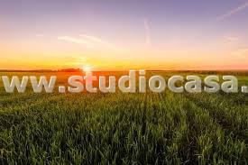 Terreno Agricolo in vendita a Urgnano