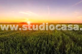 Terreno Agricolo in vendita a Urgnano