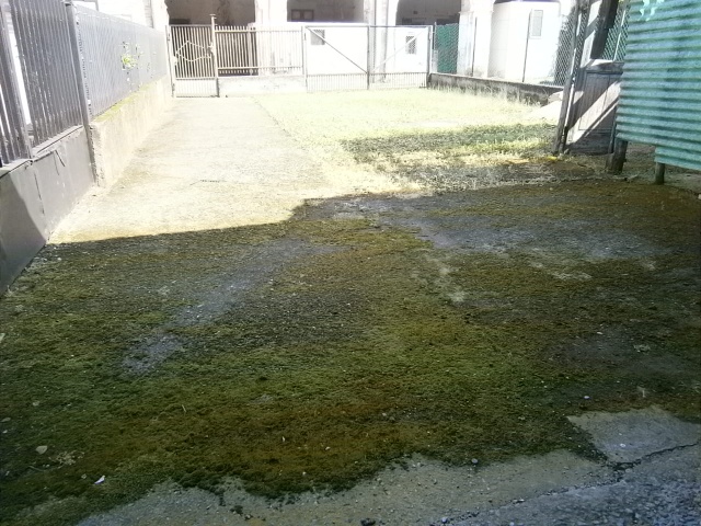 Cascina in vendita a Crespiatica