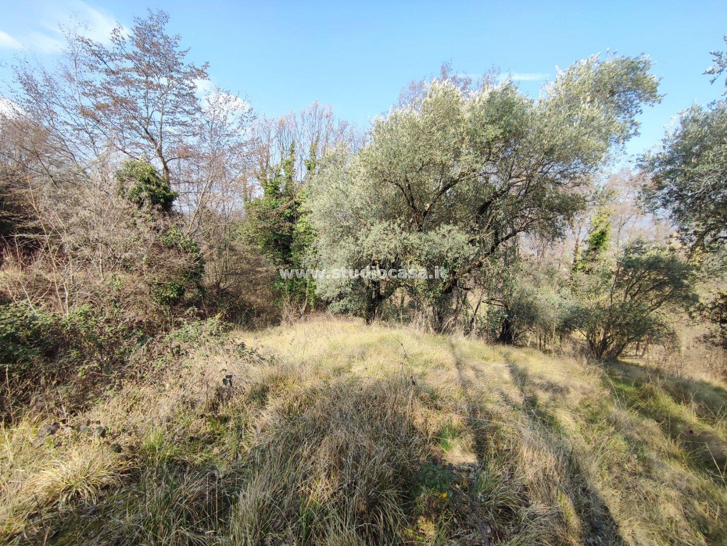 Terreno Agricolo in vendita a Salò