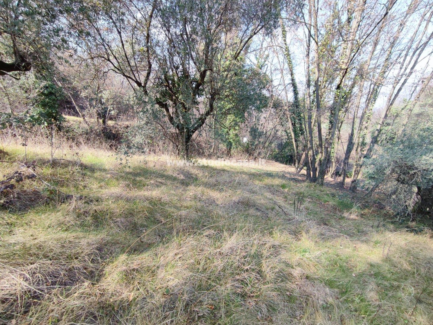 Terreno Agricolo in vendita a Salò