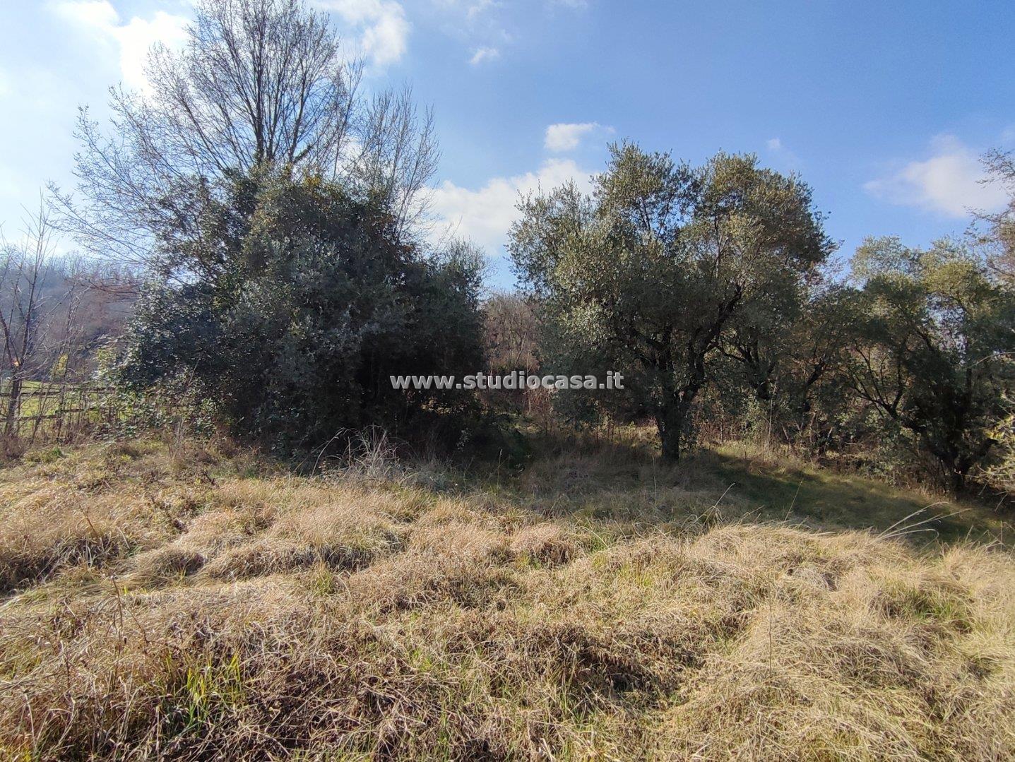 Terreno Agricolo in vendita a Salò