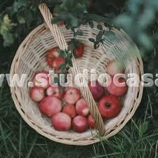 Terreno Agricolo in vendita a Dro