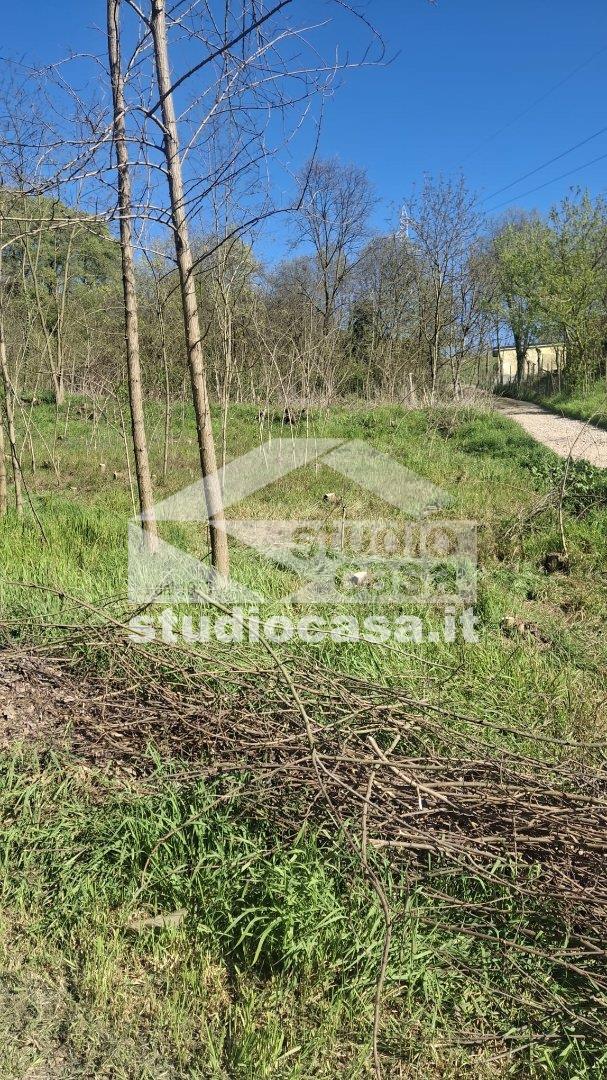 Terreno Residenziale in vendita a Miradolo Terme