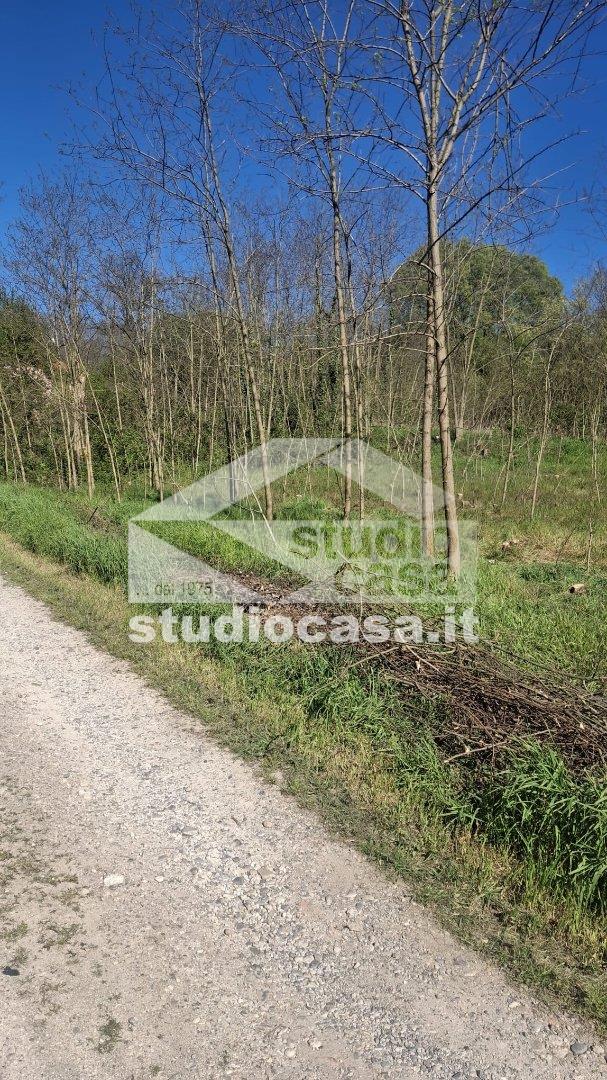 Terreno Residenziale in vendita a Miradolo Terme
