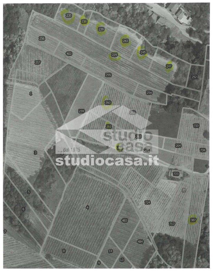 Terreno Agricolo in vendita a Cigognola