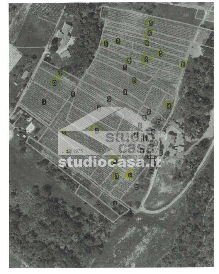 Terreno Agricolo in vendita a Cigognola