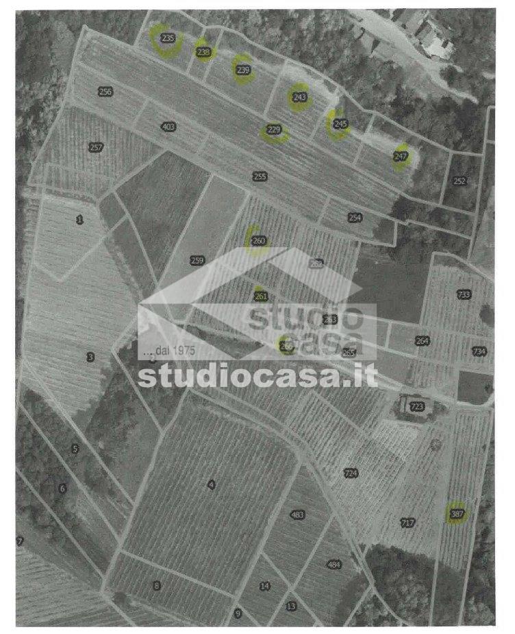 Terreno Agricolo in vendita a Cigognola