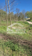 Terreno Residenziale in vendita a Miradolo Terme