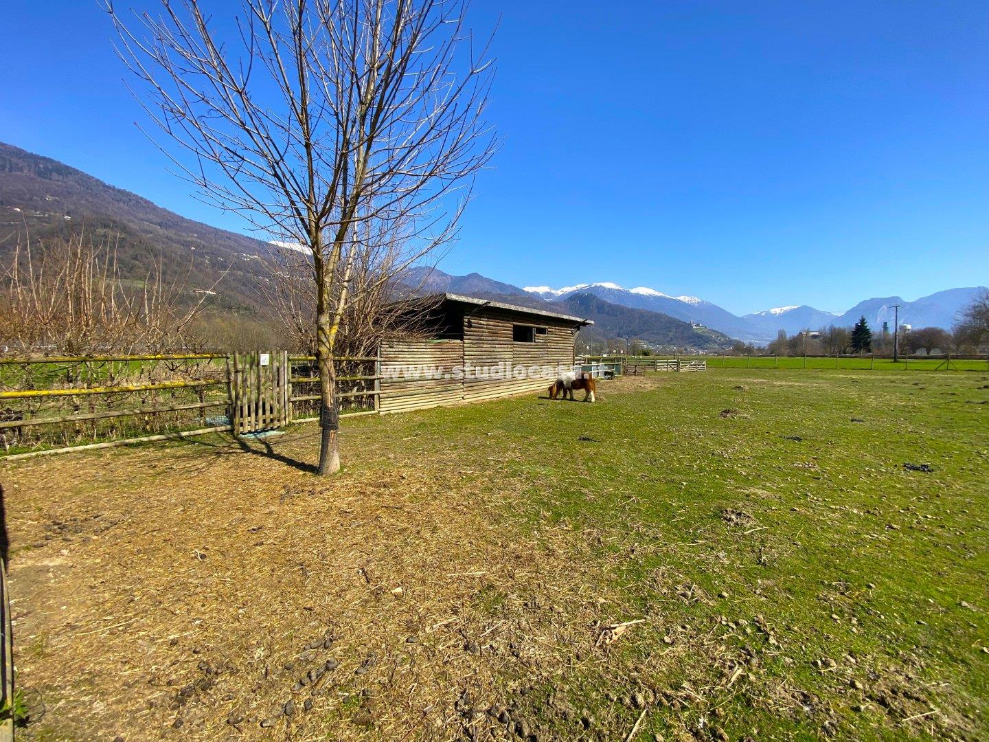 Terreno Agricolo in vendita a Roncegno Terme