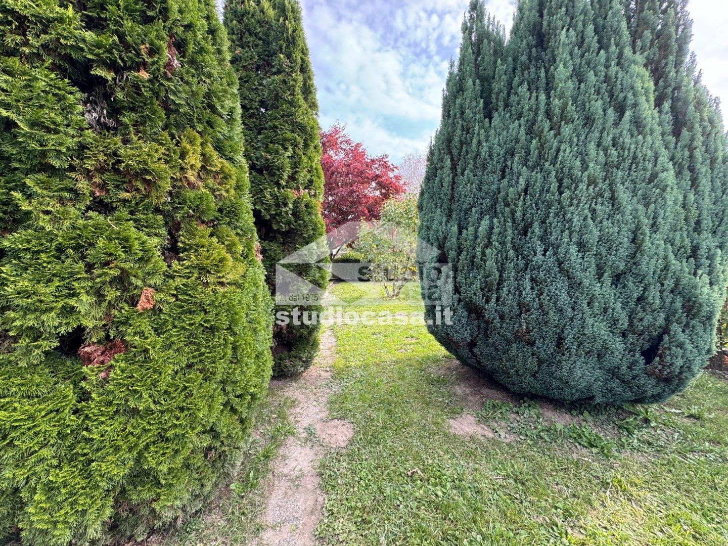 Casa Bifamiliare in vendita a Borgo Valsugana