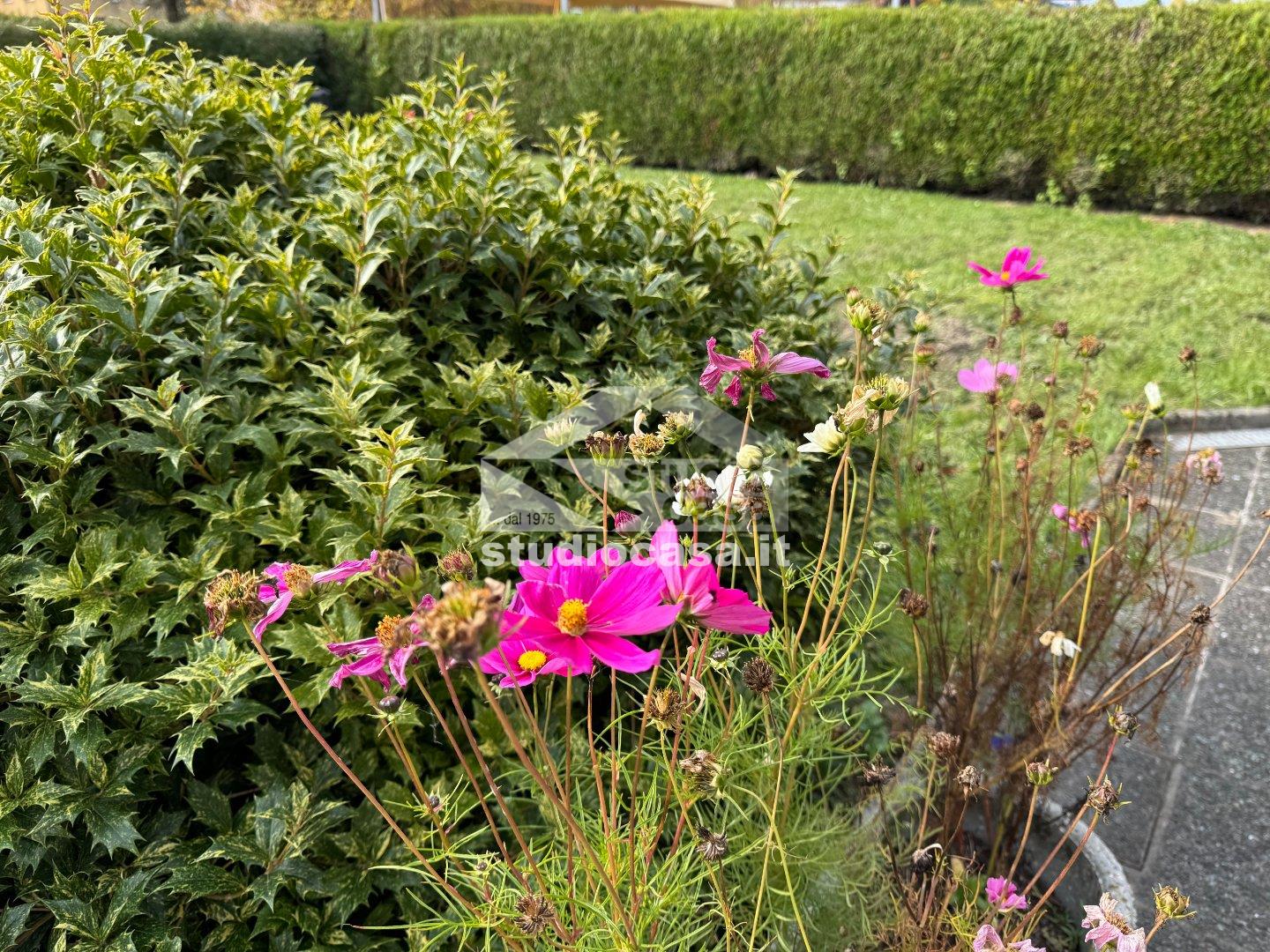 Casa Bifamiliare in vendita a Borgo Valsugana