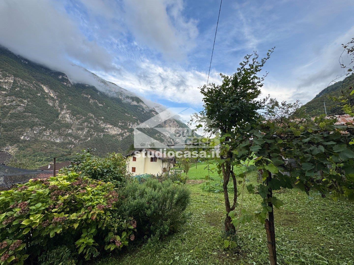 Terratetto in vendita a Grigno
