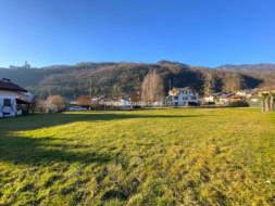 Terreno Agricolo in vendita a Borgo Valsugana