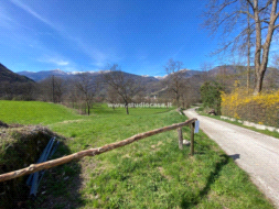 Terreno Agricolo in vendita a Borgo Valsugana