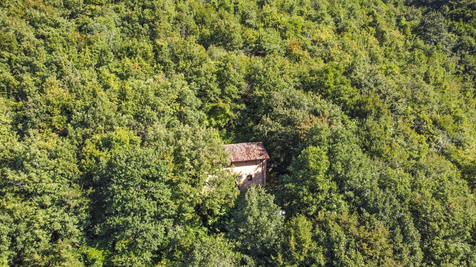 Cascina in vendita a Albino