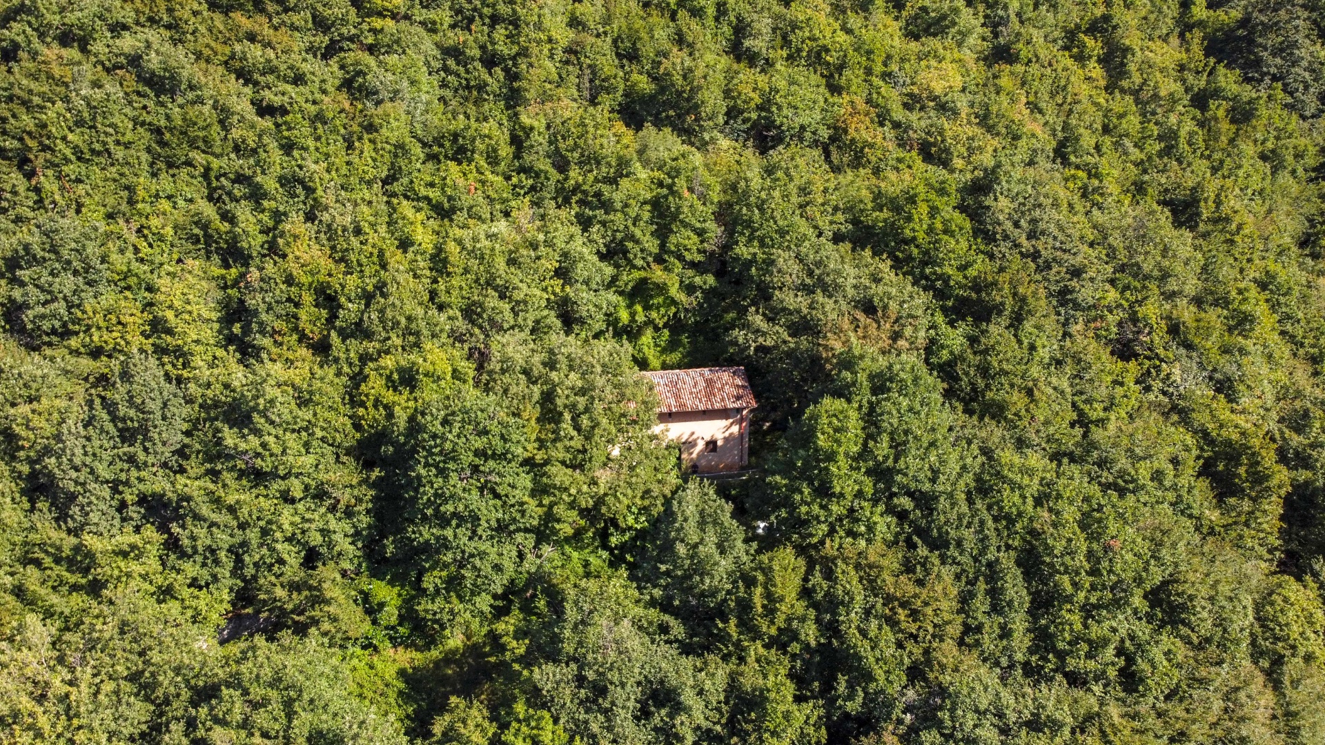 Cascina in vendita a Albino