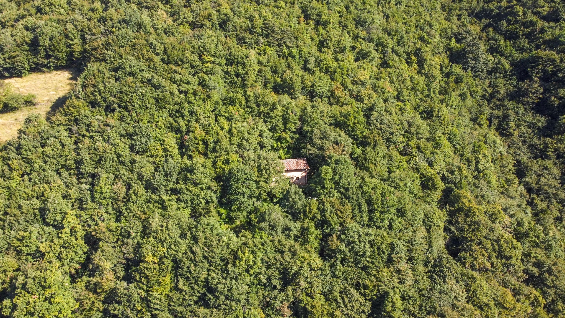 Cascina in vendita a Albino