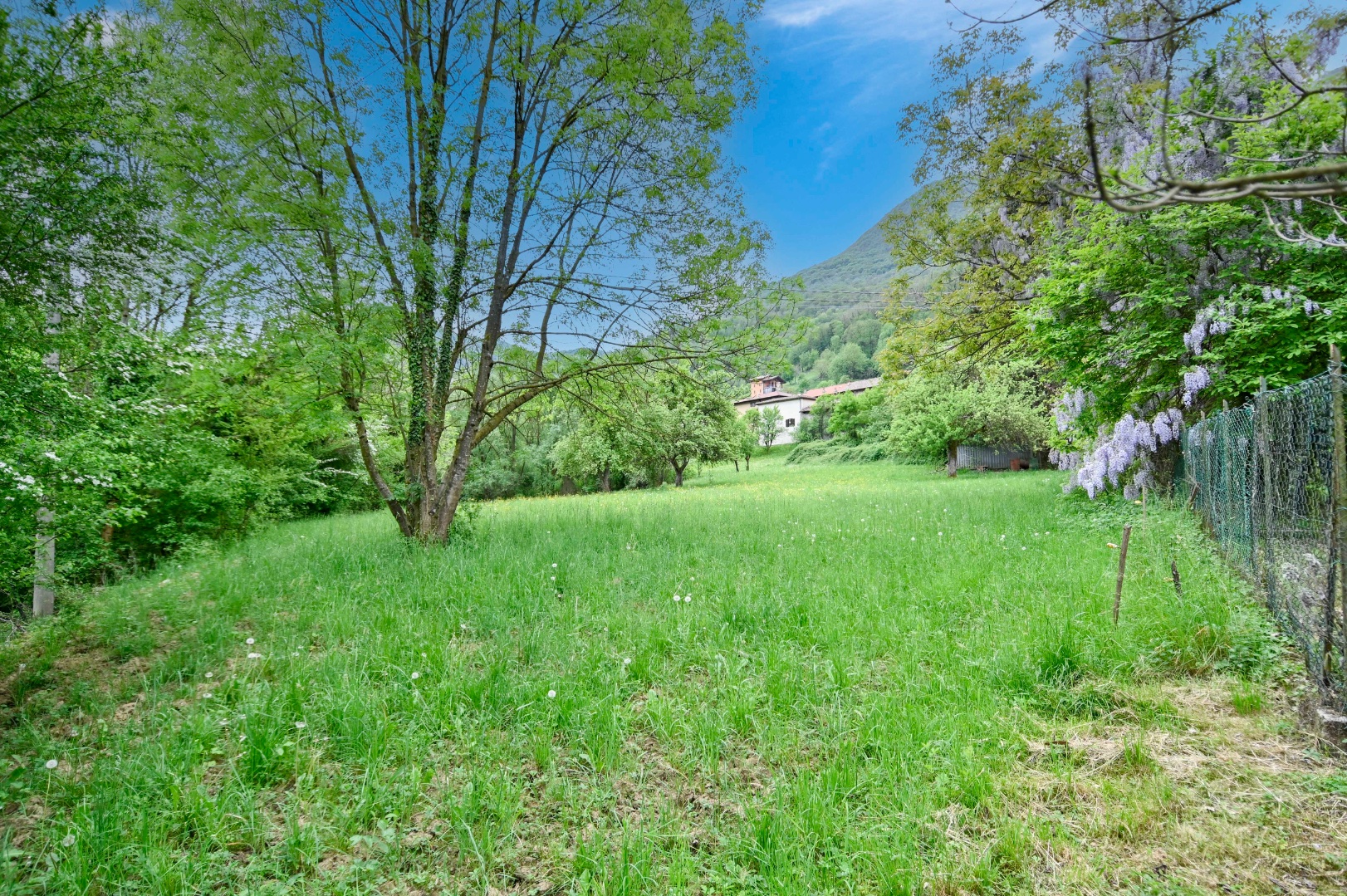 Villa Unifamiliare in vendita a Albino