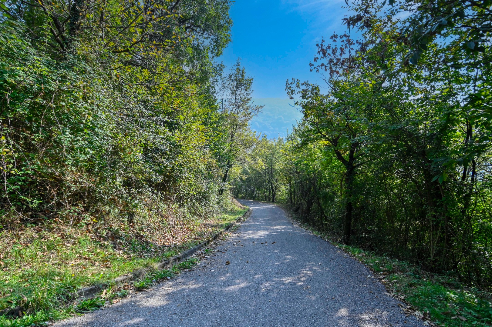 Terreno Boschivo in vendita a Pradalunga