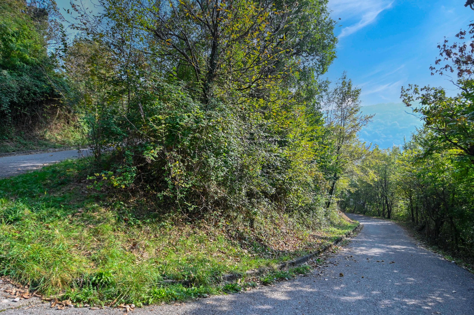 Terreno Boschivo in vendita a Pradalunga