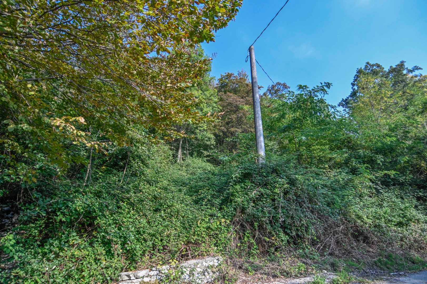 Terreno Boschivo in vendita a Pradalunga