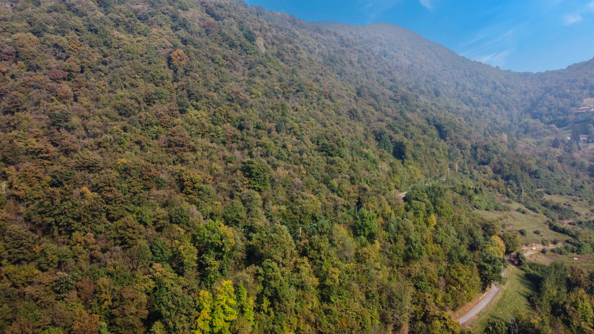 Terreno Boschivo in vendita a Pradalunga