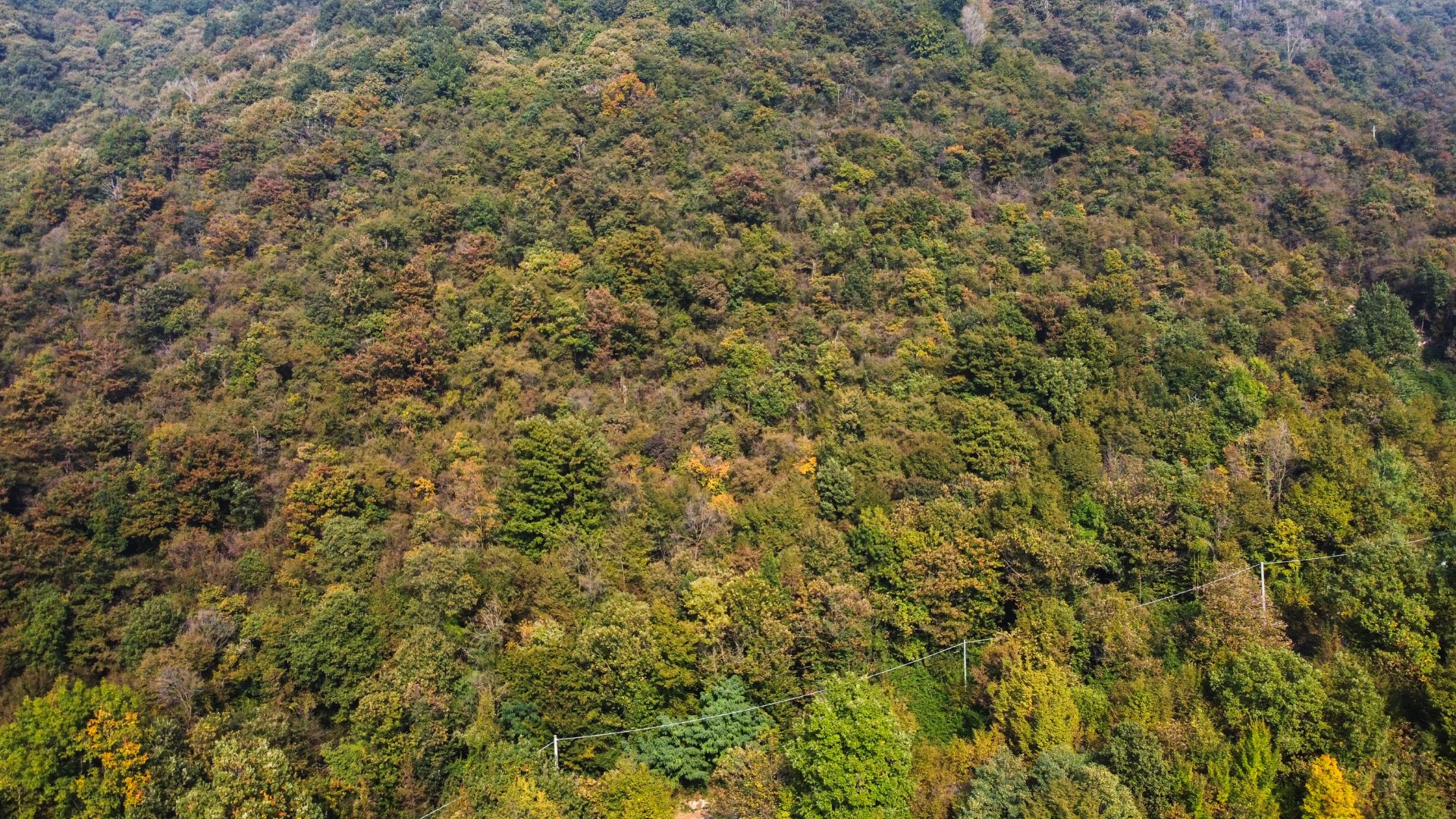Terreno Boschivo in vendita a Pradalunga