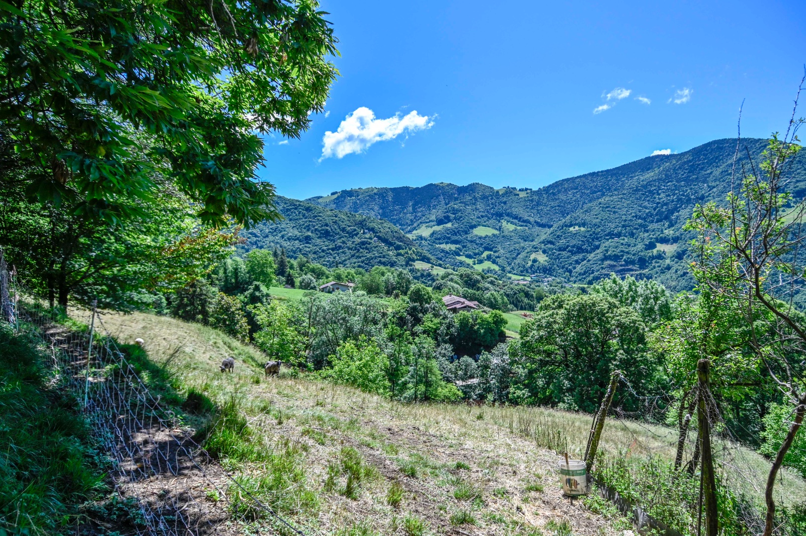 Cascina in vendita a Gandino