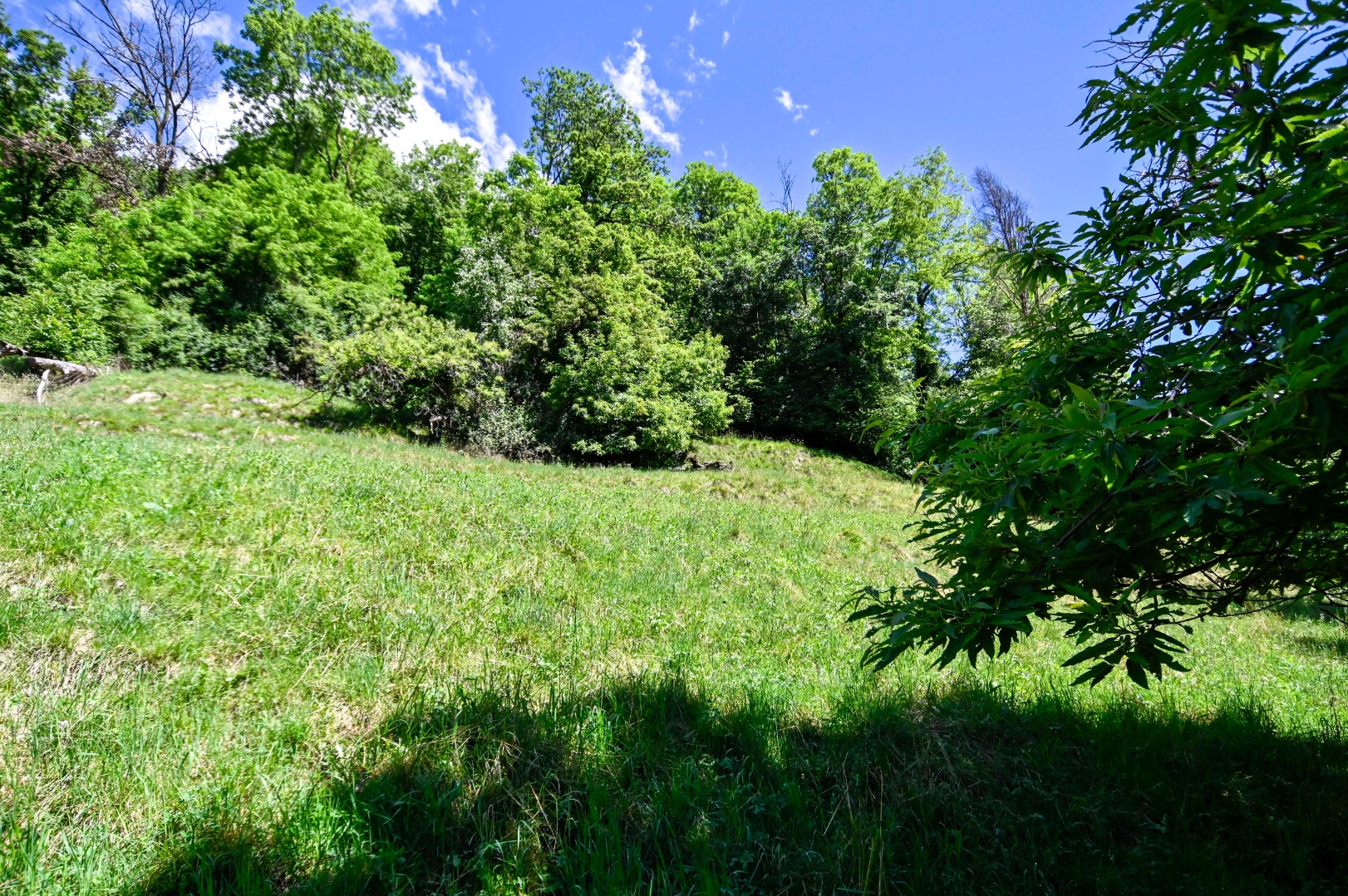 Cascina in vendita a Gandino