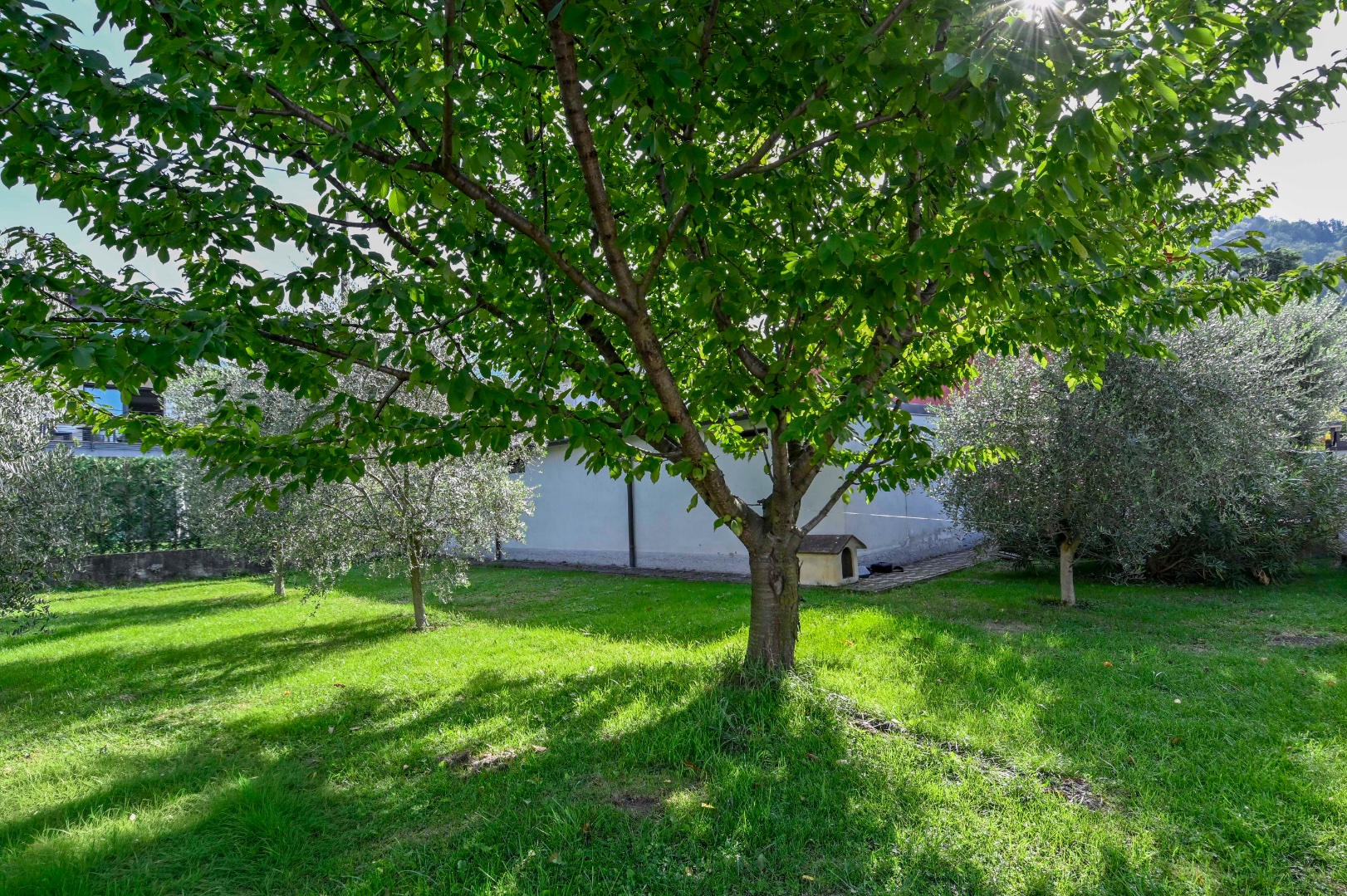 Terreno Residenziale in vendita a Pradalunga