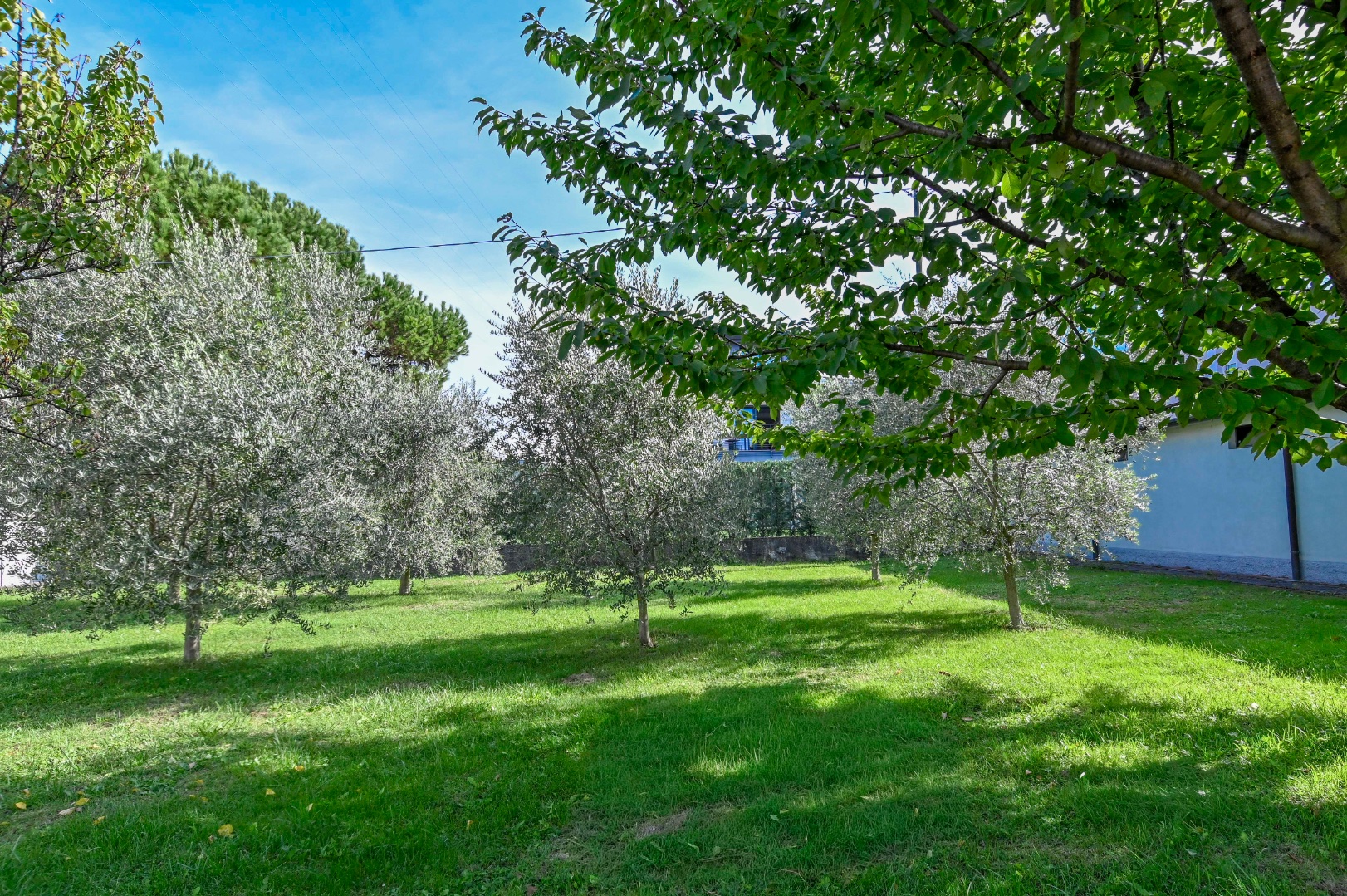 Terreno Residenziale in vendita a Pradalunga
