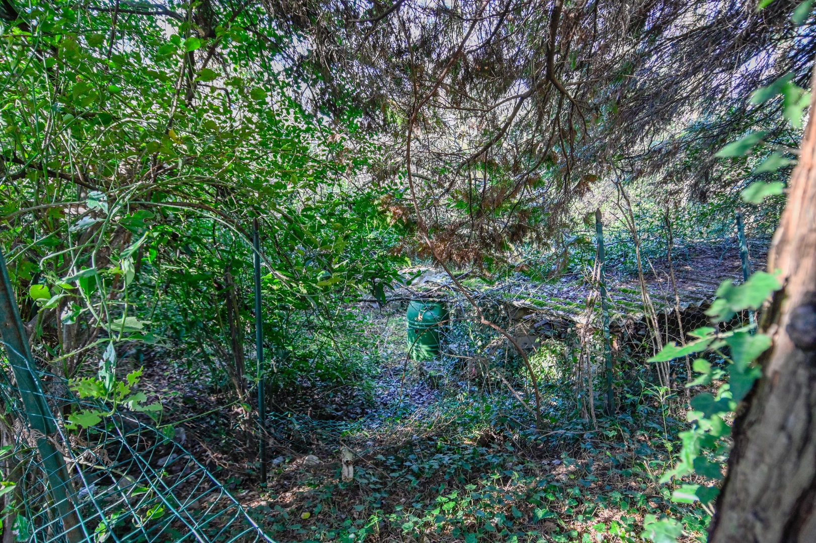 Terreno Boschivo in vendita a Albino