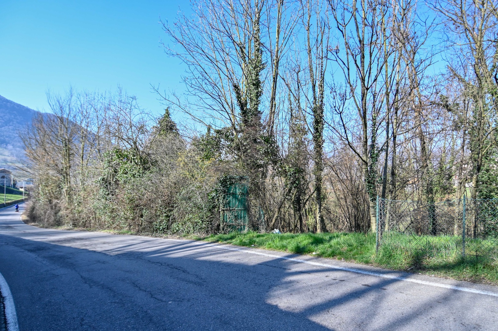 Terreno Boschivo in vendita a Albino