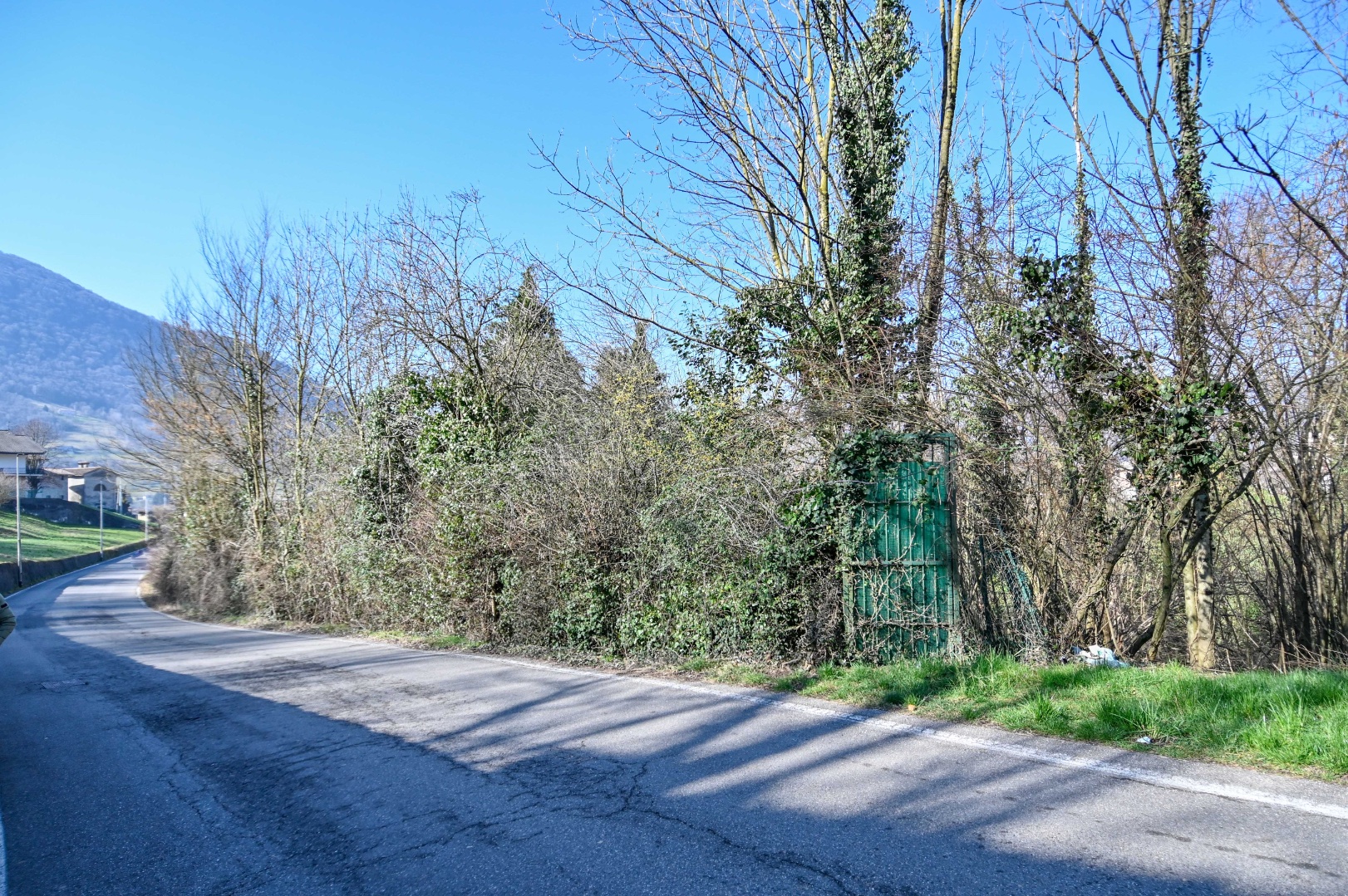 Terreno Boschivo in vendita a Albino