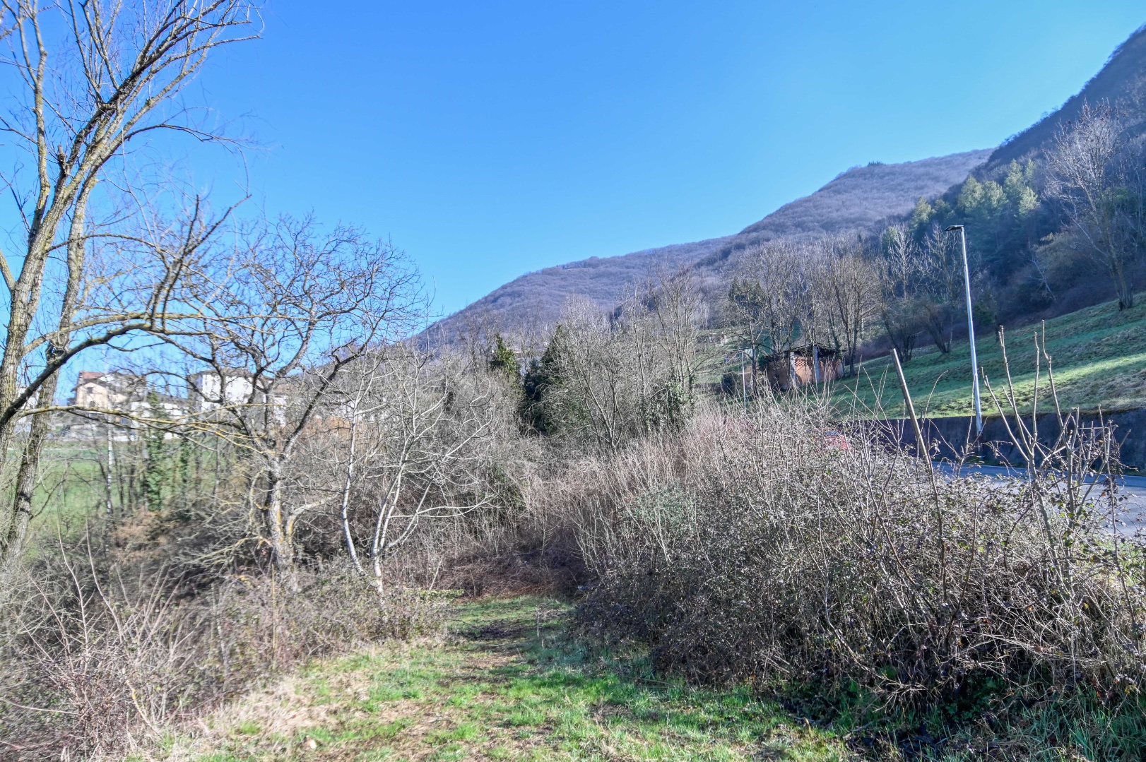 Terreno Boschivo in vendita a Albino