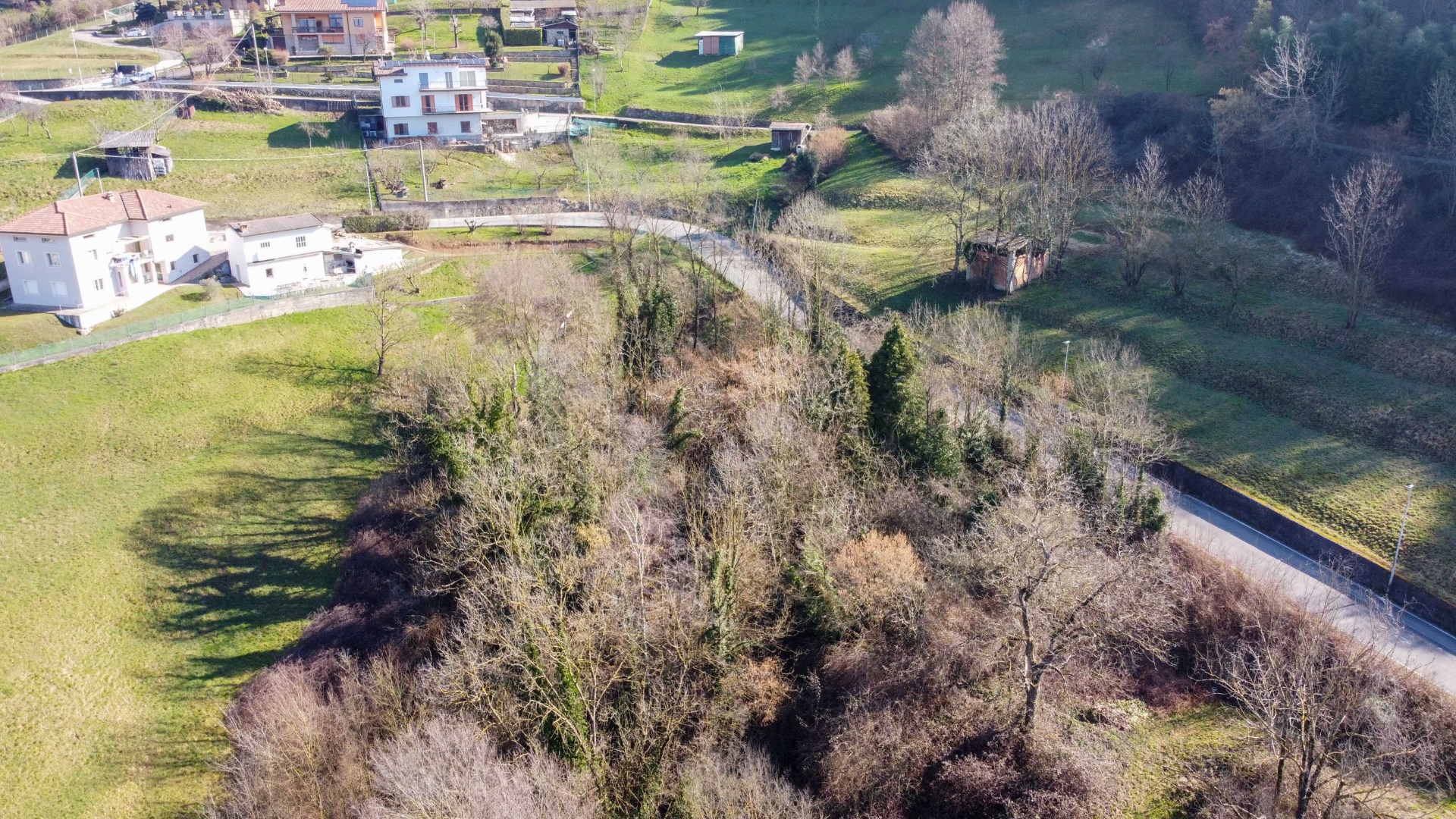Terreno Boschivo in vendita a Albino