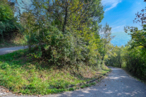 Terreno Boschivo in vendita a Pradalunga