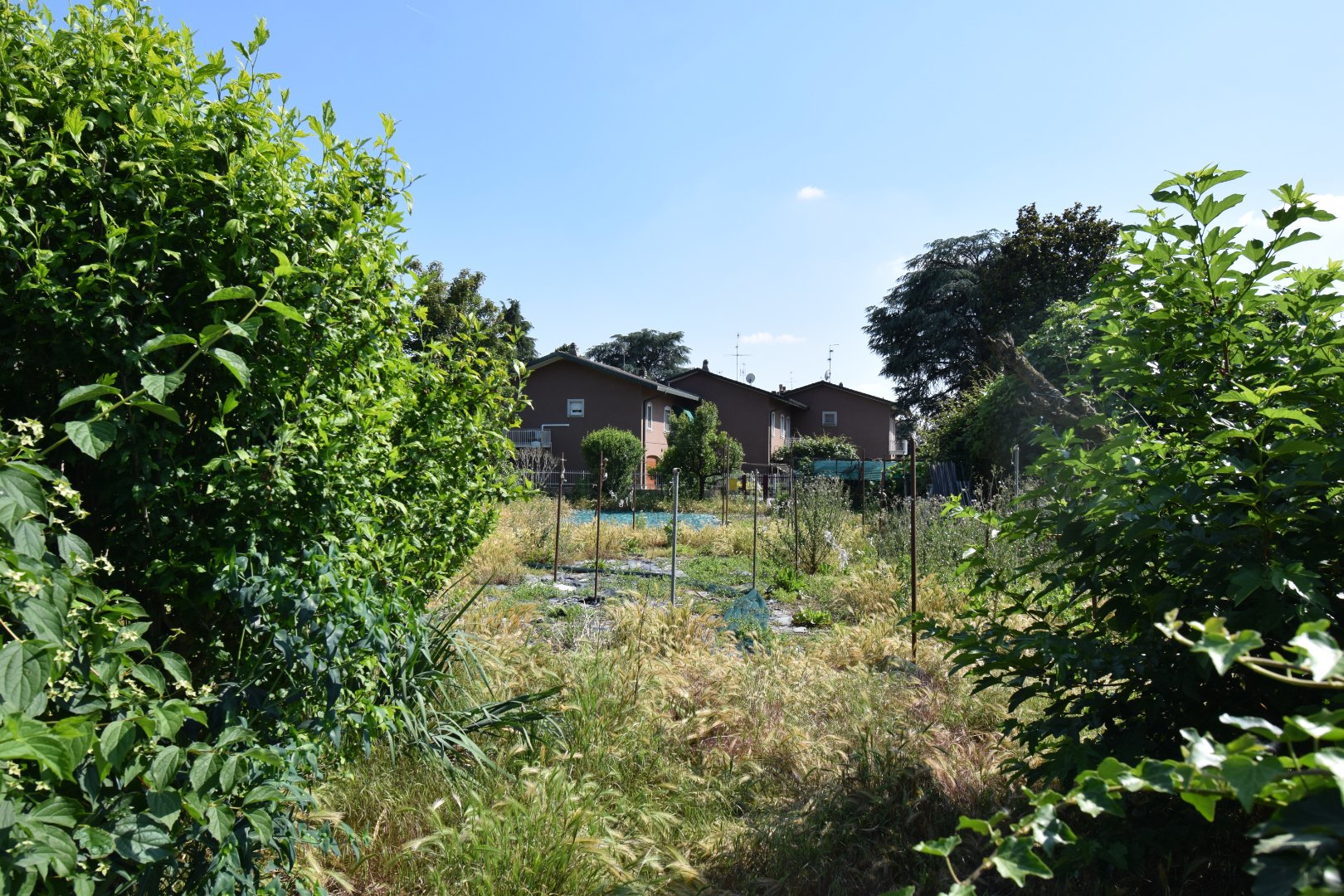 Terreno Residenziale in vendita a Montanaso Lombardo